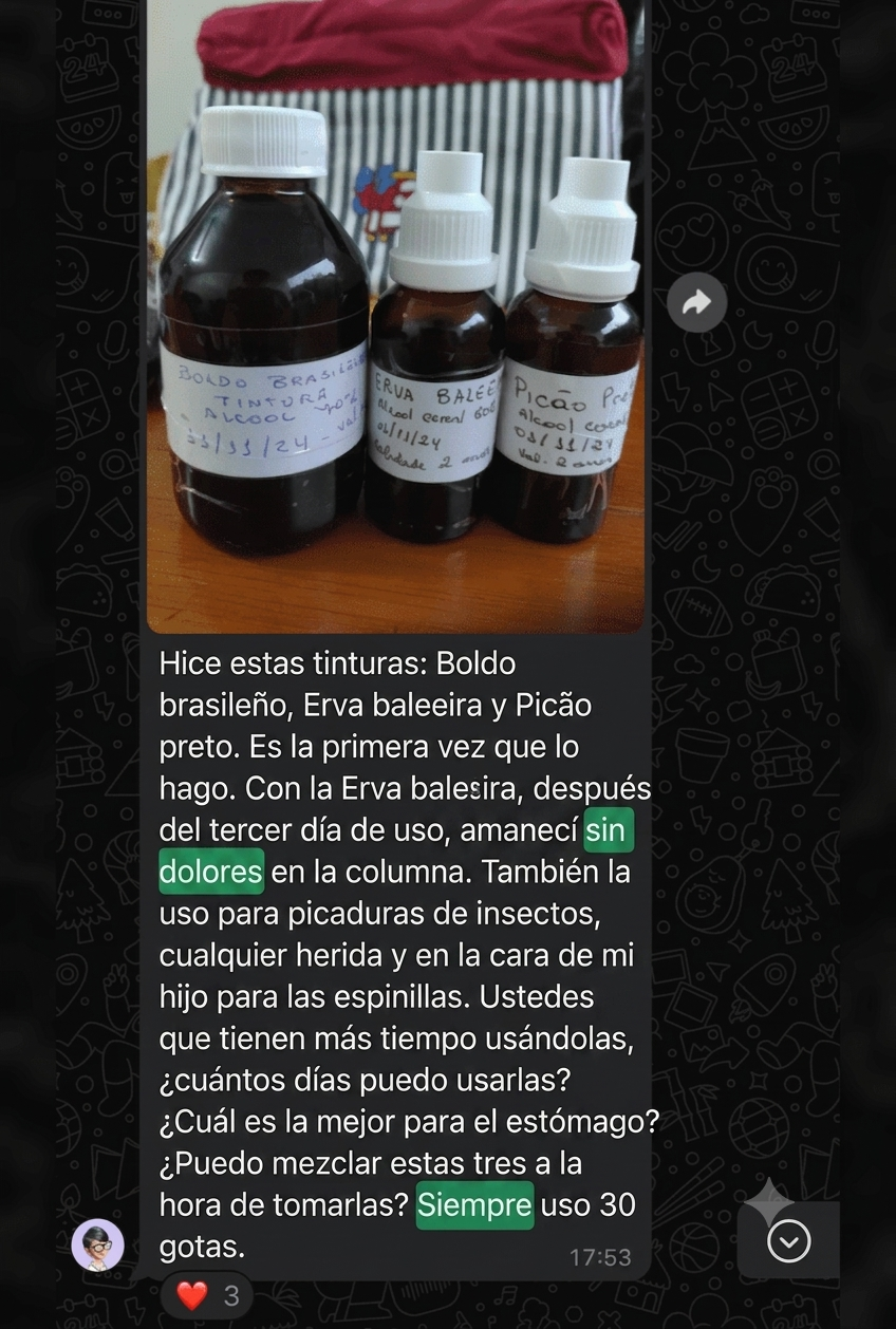 Testimonio 2