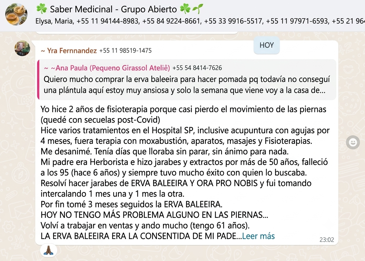 Testimonio 4