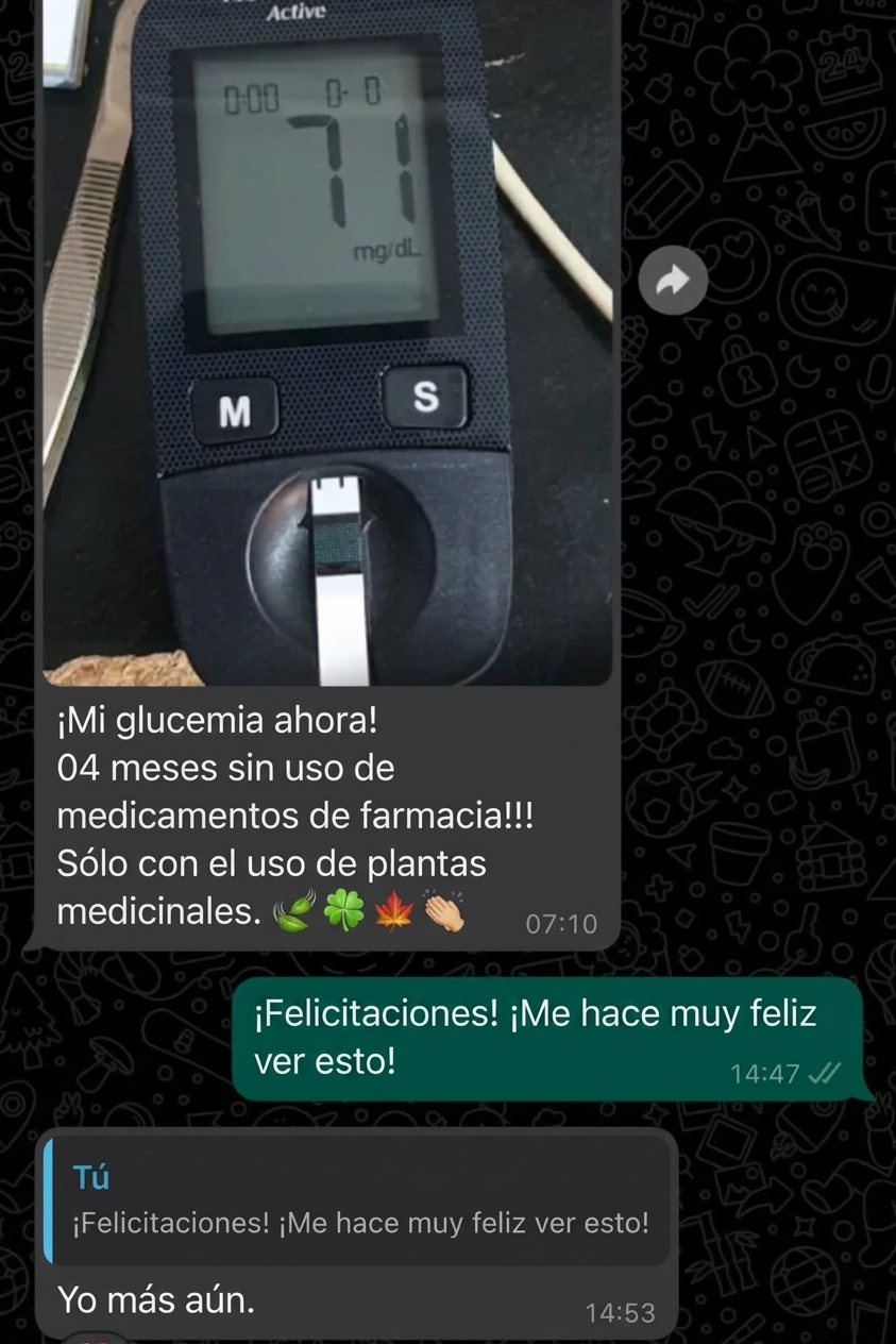 Testimonio de alumno 1